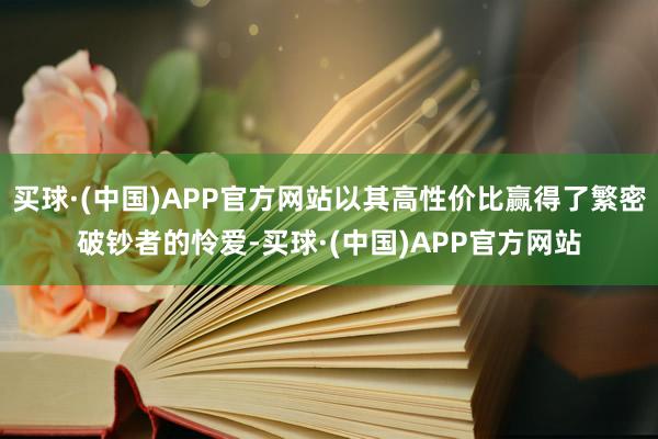 买球·(中国)APP官方网站以其高性价比赢得了繁密破钞者的怜爱-买球·(中国)APP官方网站